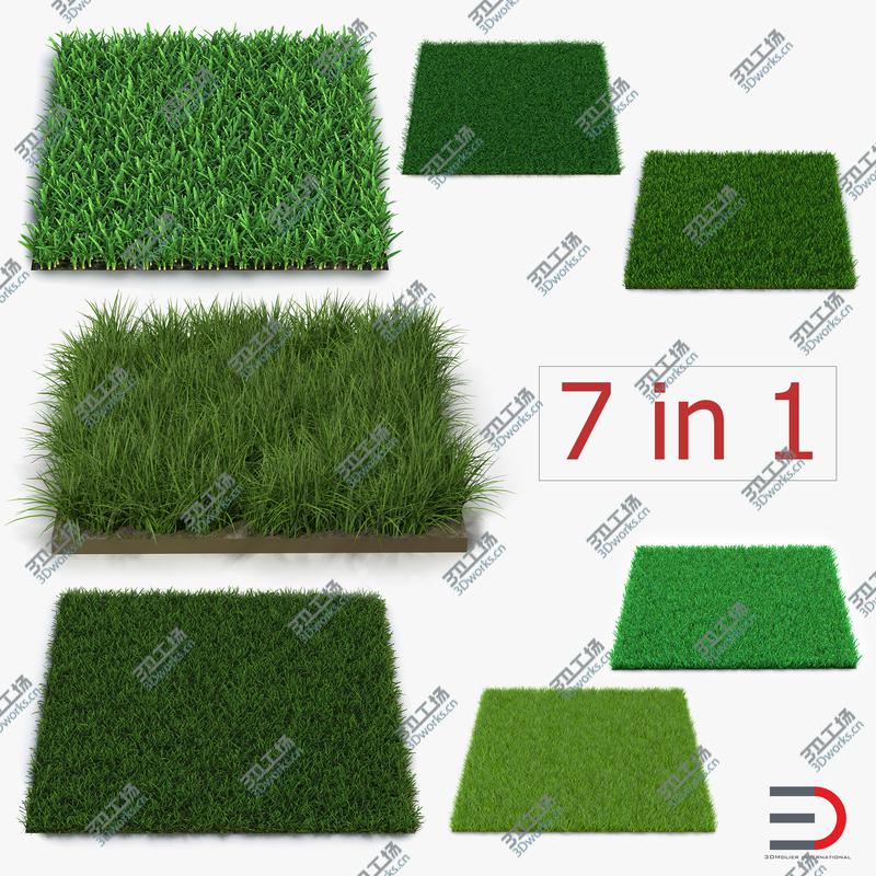 images/goods_img/2021040231/Grass Fields Collection/1.jpg